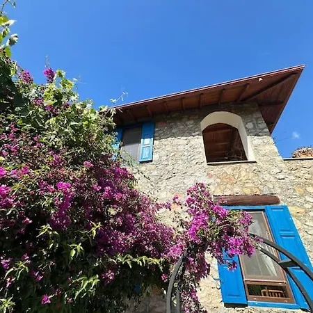 Orman Icinde Muhtesem Villa Kayakoy