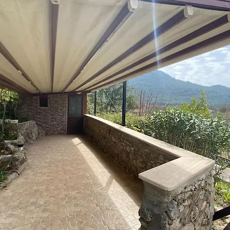 Orman Icinde Muhtesem Villa