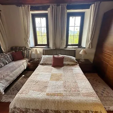 Orman Icinde Muhtesem Villa