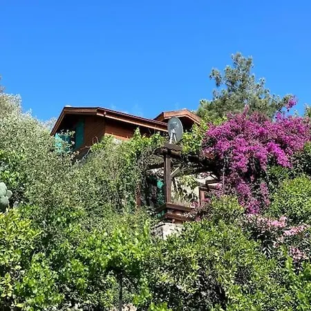 Orman Icinde Muhtesem Villa *