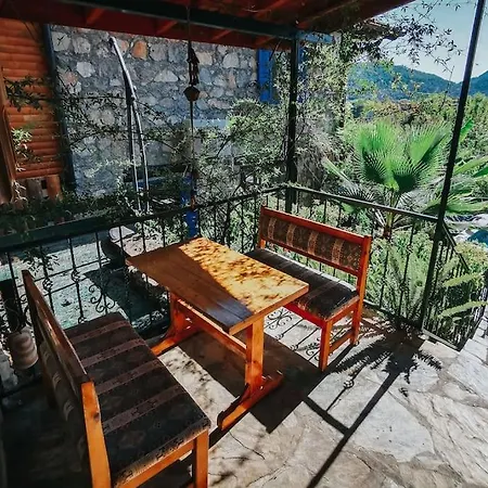 Orman Icinde Muhtesem