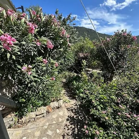 Orman Icinde Muhtesem Villa *