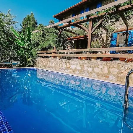 Orman Icinde Muhtesem Villa *