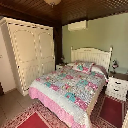 Villa Orman Icinde Muhtesem *
