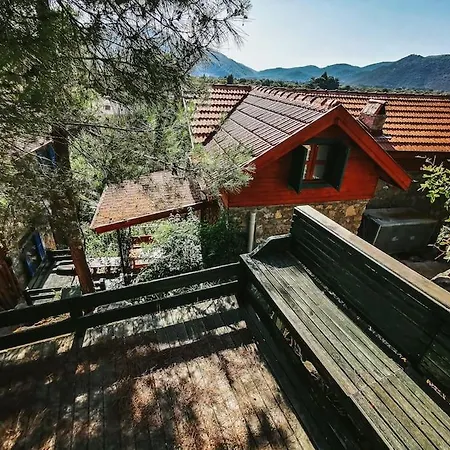 Orman Icinde Muhtesem