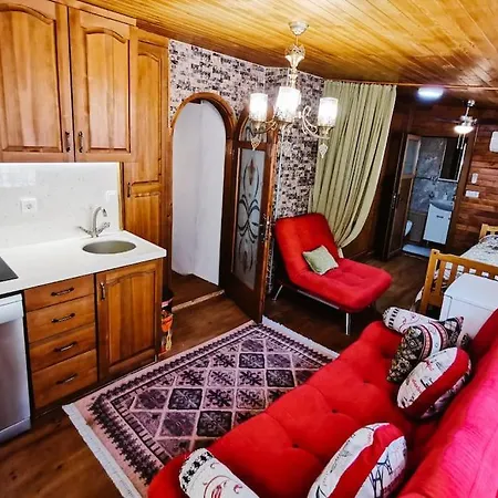 Orman Icinde Muhtesem Villa