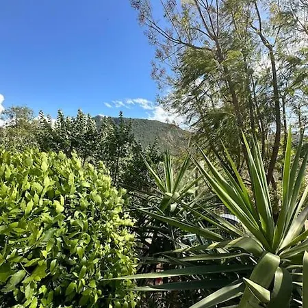 Orman Icinde Muhtesem Villa *